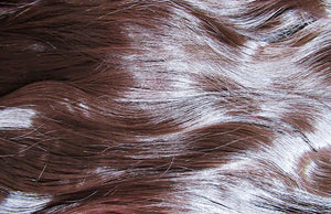 Andrea & Weave Clip In Hair Extensions in Darkest Brown - 22’’