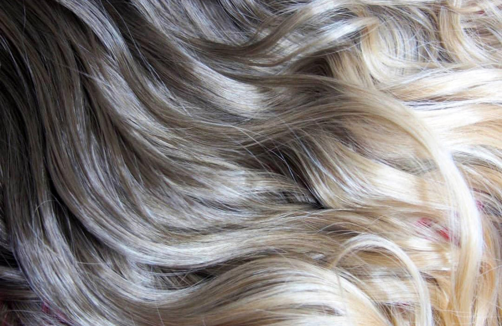 Andrea & Weave Clip In Hair Extensions - Latte Ombré 24"