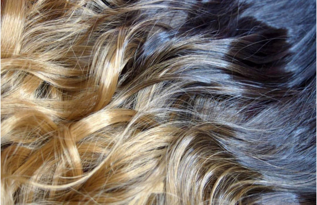 Andrea & Weave Clip In Hair Extensions - Dark Honey Ombré 24"