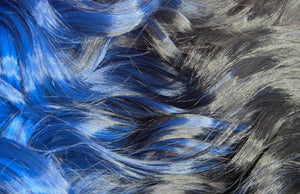 Andrea & Weave Clip In Hair Extensions - Black Cobalt Ombré 24"
