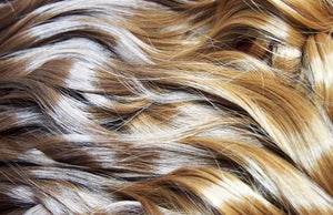 Andrea & Weave Clip In Hair Extensions - Honey Spice Ombré 24"