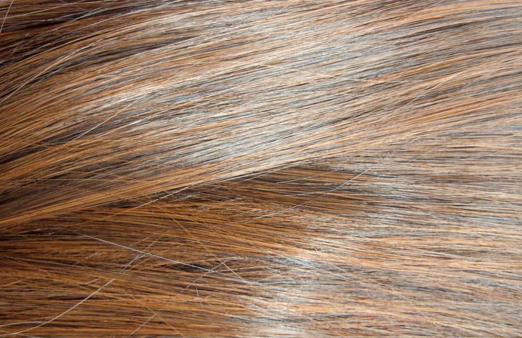 Andrea & Weave Clip In Hair Extensions - Copper Brown 24"